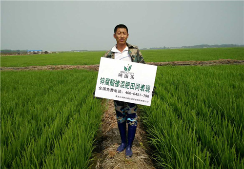 示范田展示 示范田展示